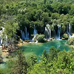 Luxury Olive With Pool And Jacuzzi Near Dubrovnik וילה Ivanica