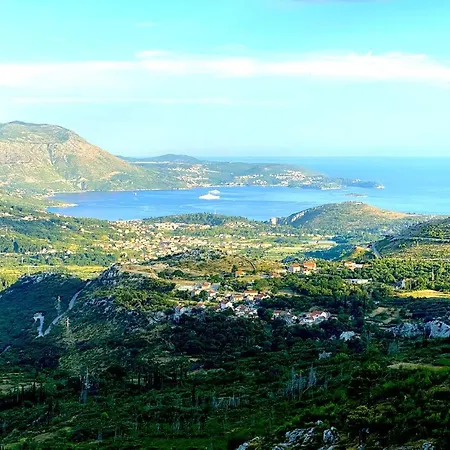 Luxury Olive With Pool And Jacuzzi Near Dubrovnik Вилла