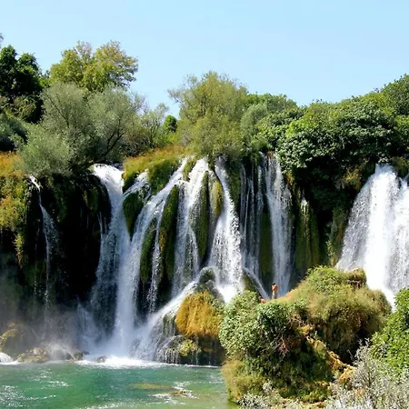 Luxury Olive With Pool And Jacuzzi Near Dubrovnik Villa