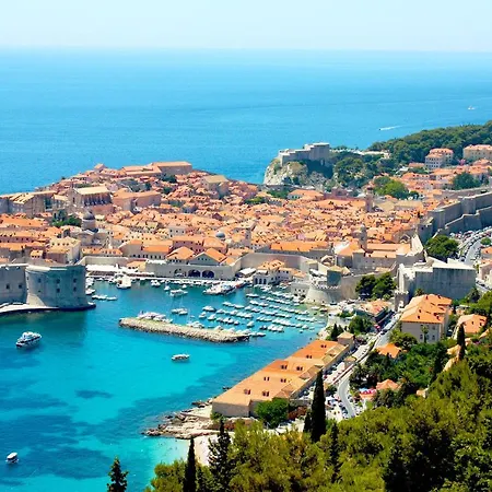 Luxury Olive With Pool And Jacuzzi Near Dubrovnik Villa *