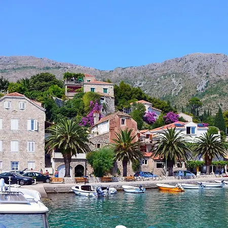 Luxury Olive With Pool And Jacuzzi Near Dubrovnik Villa *
