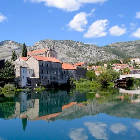 Luxury Olive With Pool And Jacuzzi Near Dubrovnik Villa