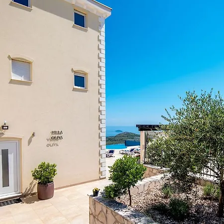 Luxury Olive With Pool And Jacuzzi Near Dubrovnik Villa *
