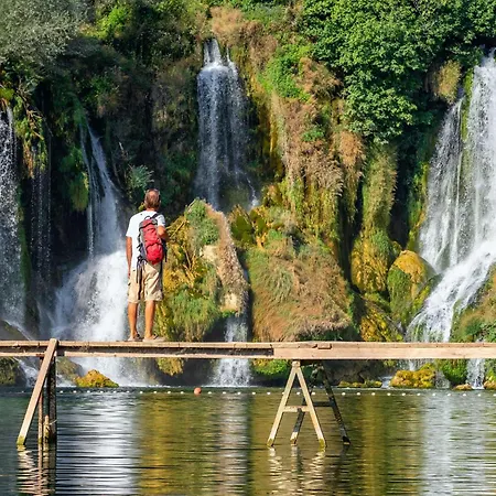 Luxury Olive With Pool And Jacuzzi Near Dubrovnik Ivanica