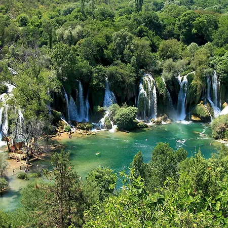 Luxury Olive With Pool And Jacuzzi Near Dubrovnik Вилла Ivanica