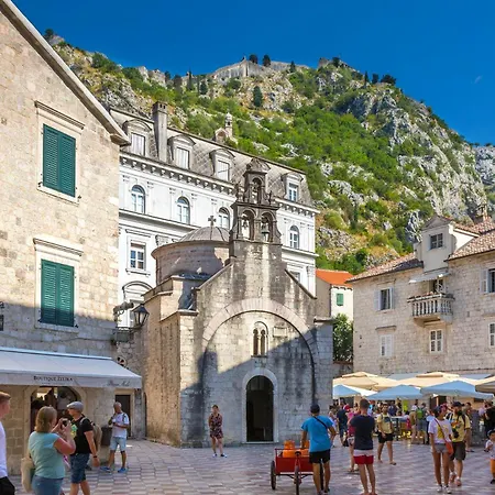 Luxury Olive With Pool And Jacuzzi Near Dubrovnik *