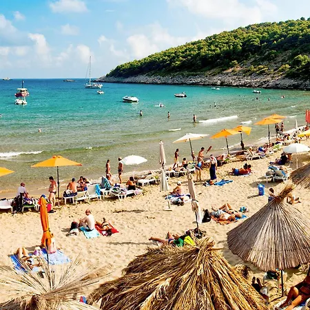 Luxury Olive With Pool And Jacuzzi Near Dubrovnik *